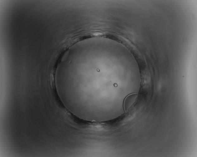 X0000090430523200707131203