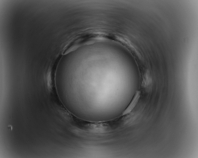X0000090430524200707131203
