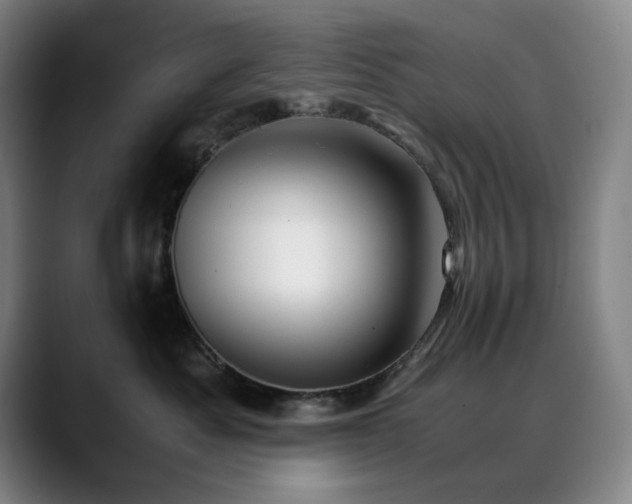 X0000090430525200707131203
