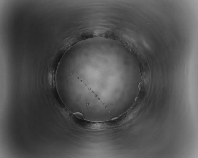 X0000090430527200707131203