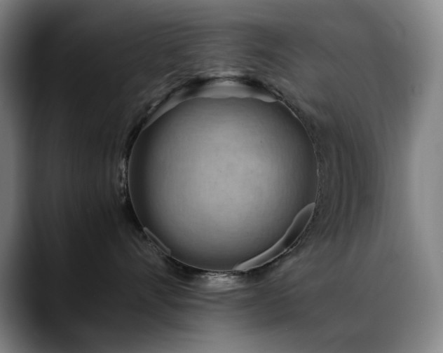 X0000090430528200707131203