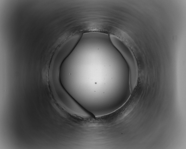 X0000090430530200707131203