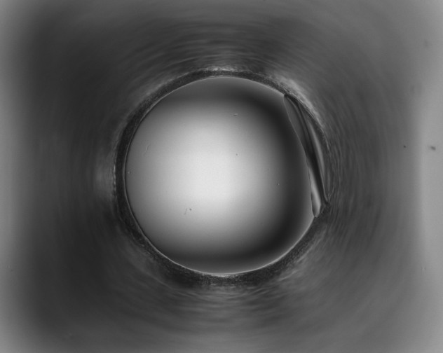 X0000090430531200707131203