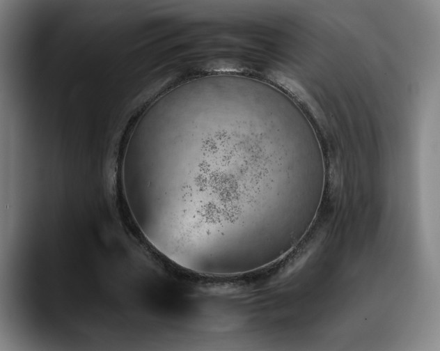 X0000090430533200707131203