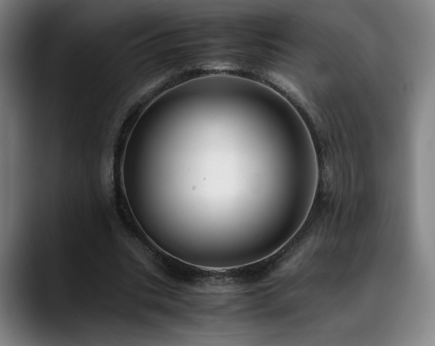 X0000090430535200707131203