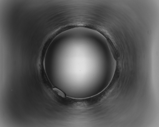X0000090430536200707131203