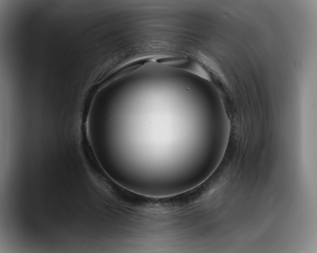 X0000090430538200707131203