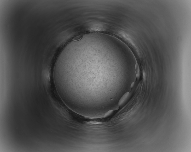 X0000090430539200707131203