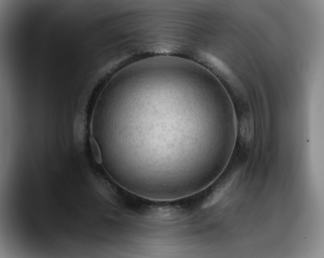 X0000090430540200707131203