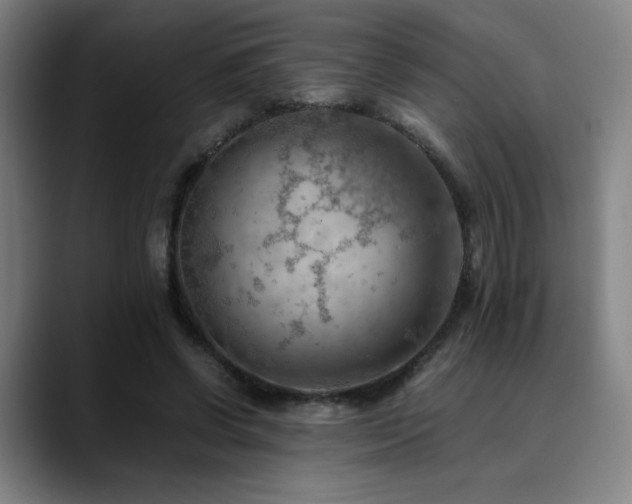 X0000090430542200707131203