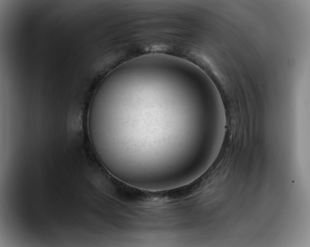 X0000090430543200707131203