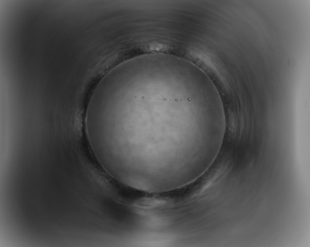 X0000090430545200707131203