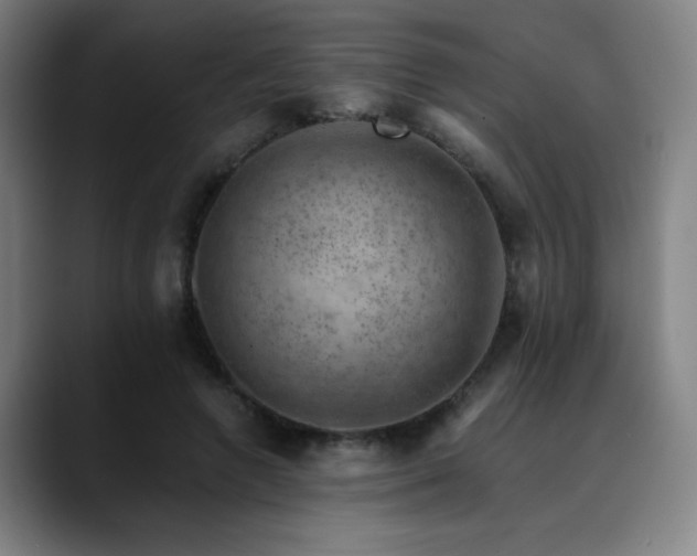 X0000090430546200707131203