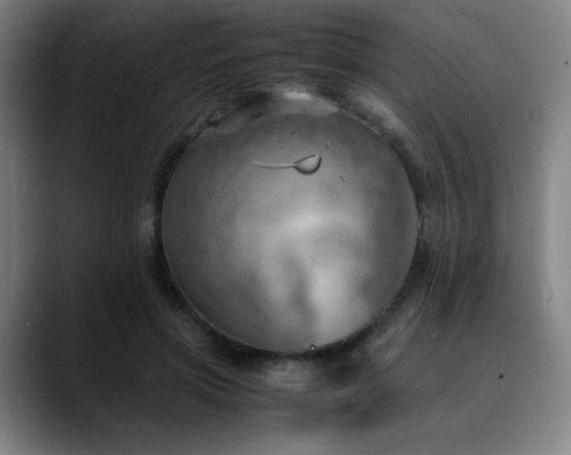 X0000090430549200707131203
