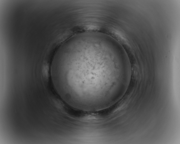 X0000090430550200707131203