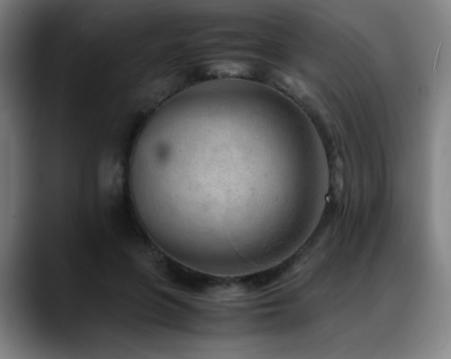 X0000090430551200707131203