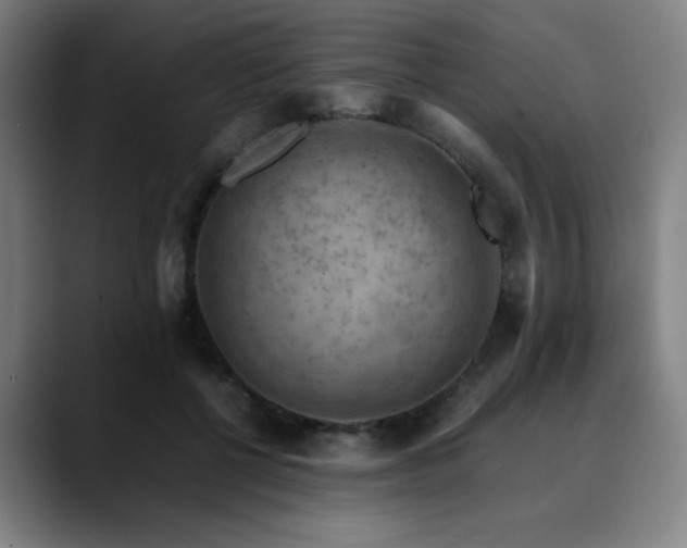 X0000090430552200707131203