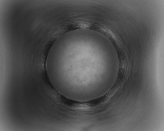 X0000090430553200707131203