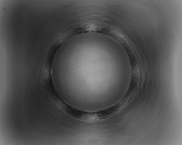 X0000090430554200707131203