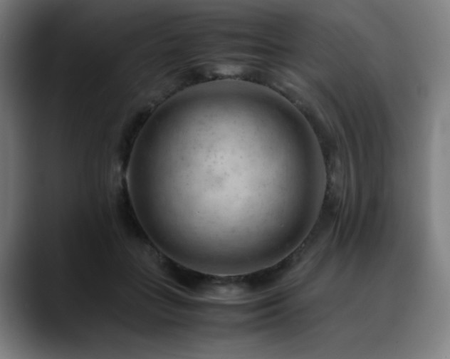 X0000090430555200707131203