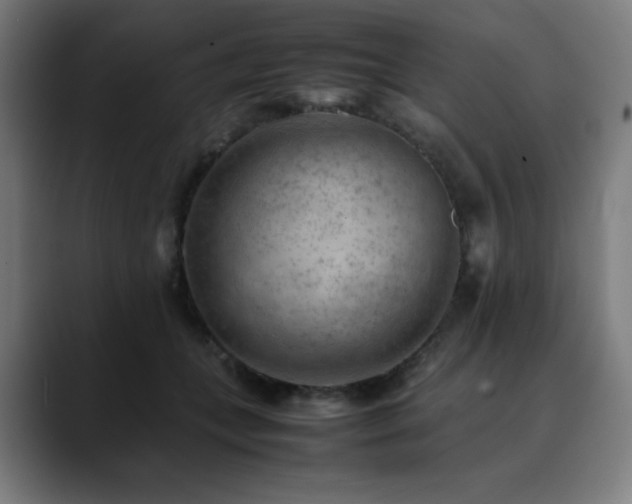 X0000090430559200707131203