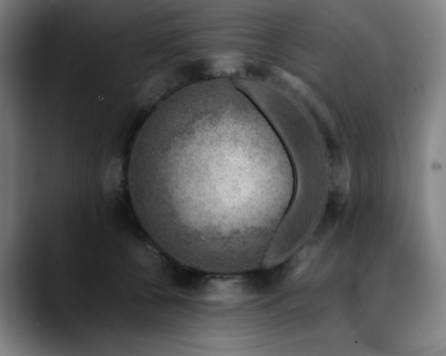 X0000090430560200707131203