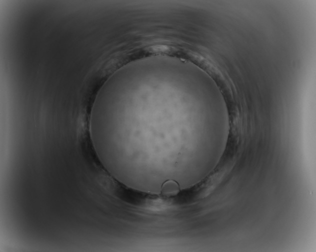 X0000090430561200707131203