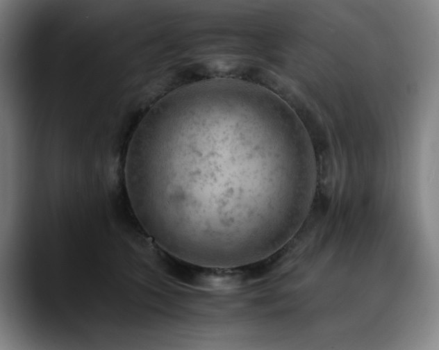 X0000090430563200707131203