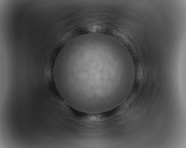 X0000090430569200707131203