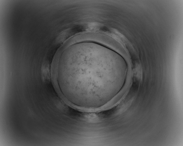X0000090430572200707131203