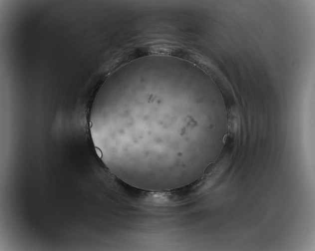X0000090430573200707131203