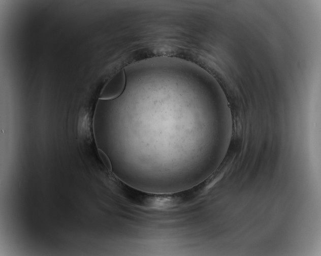 X0000090430575200707131203