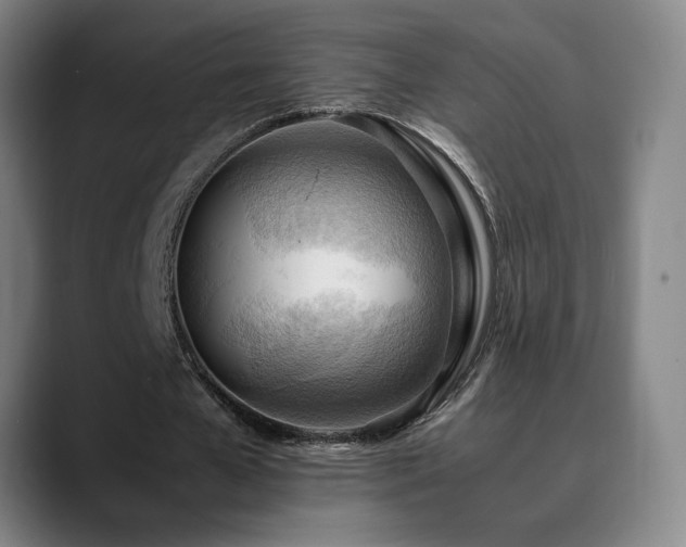 X0000090430577200707131203
