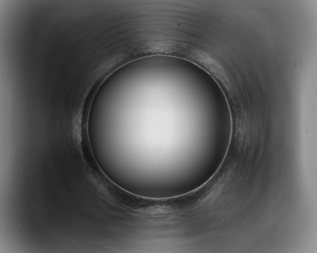 X0000090430578200707131203