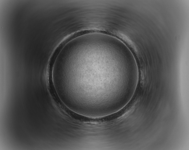 X0000090430580200707131203