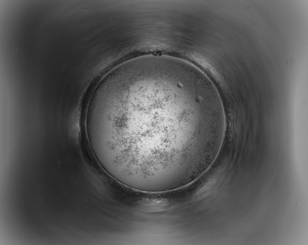 X0000090430582200707131203