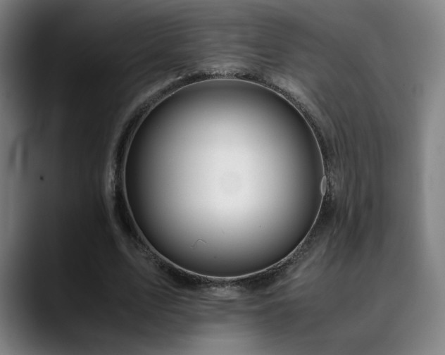 X0000090430583200707131203