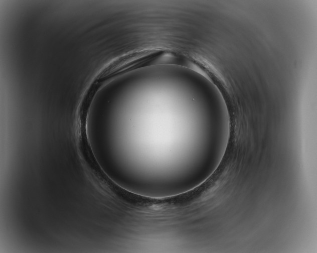 X0000090430584200707131203