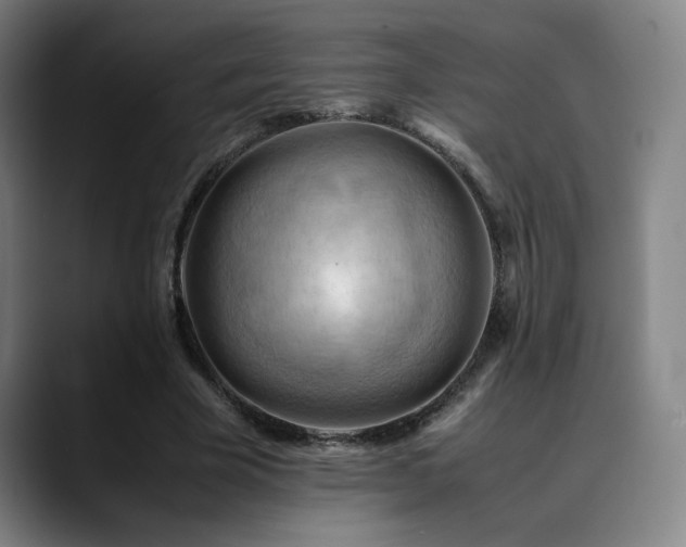 X0000090430585200707131203