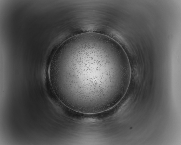 X0000090430586200707131203