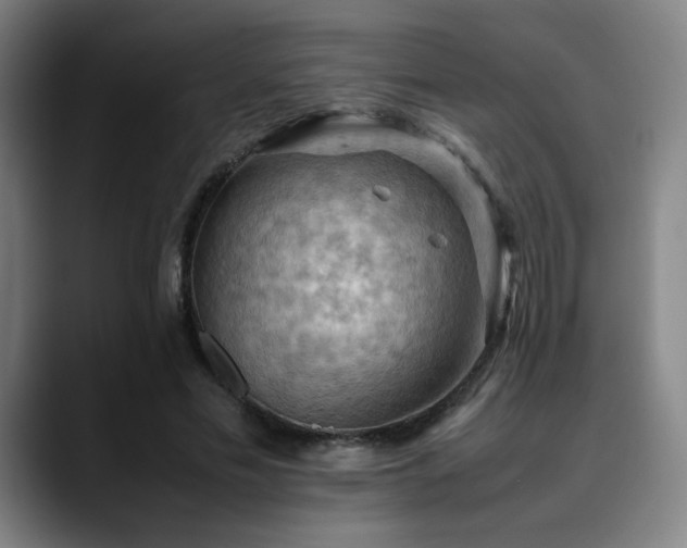 X0000090430589200707131203