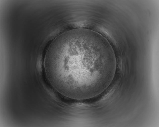 X0000090430590200707131203