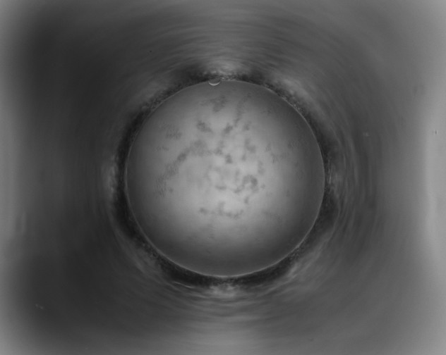 X0000090430591200707131203