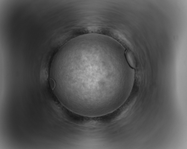X0000090430593200707131202