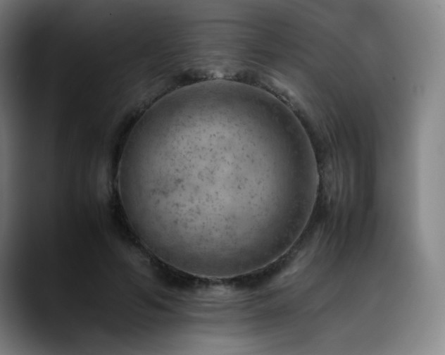 X0000090430594200707131202