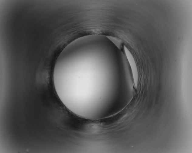X0000090430595200707131202