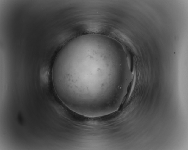 X0000090430596200707131202