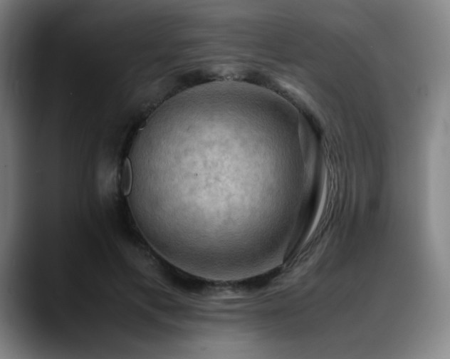 X0000090430597200707131202