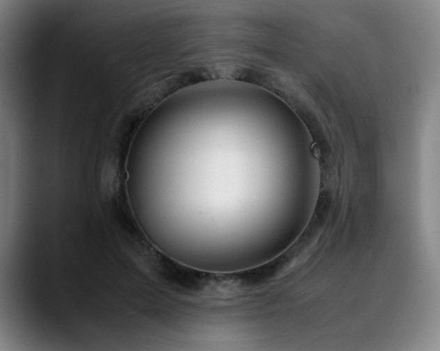 X0000090430599200707131202