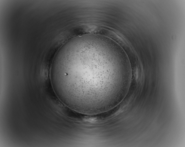 X0000090430602200707131202